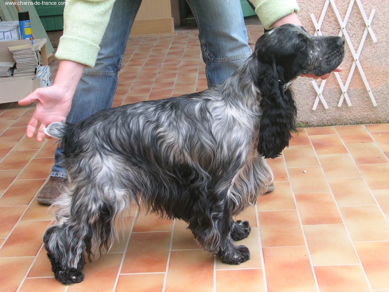 Mèden Âgan Umphrey